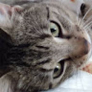 Meet your Posher, Marie